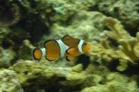 dsc_4415_small.jpg