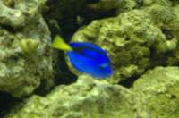 dsc_4416_small.jpg