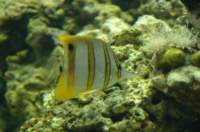 dsc_4420_small.jpg