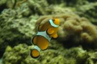 dsc_4422_small.jpg