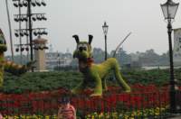 dsc_4546_small.jpg