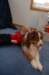 dsc_2547_small.jpg