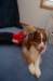 dsc_2548_small.jpg
