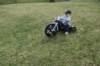 dsc_3464_small.jpg