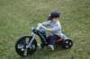 dsc_3468_small.jpg