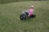 dsc_3478_small.jpg