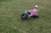 dsc_3479_small.jpg