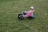 dsc_3480_small.jpg
