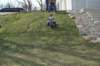 dsc_3496_small.jpg