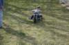 dsc_3499_small.jpg