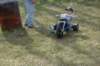 dsc_3500_small.jpg