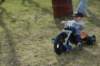 dsc_3501_small.jpg