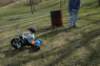 dsc_3528_small.jpg