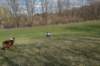 dsc_3533_small.jpg