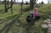 dsc_3539_small.jpg