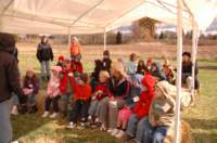 dsc_0030_small.jpg