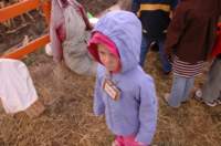 dsc_0044_small.jpg