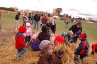 dsc_0046_small.jpg