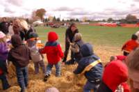 dsc_0047_small.jpg