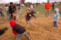 dsc_0059_small.jpg