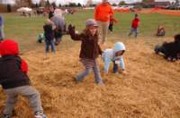 dsc_0060_small.jpg