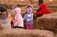 dsc_0070_small.jpg