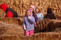 dsc_0082_small.jpg