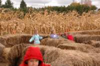 dsc_0112_small.jpg