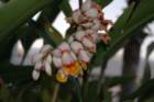 dsc_4373_small.jpg