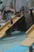 dsc_4816_small.jpg