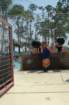 dsc_4829_small.jpg