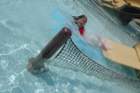 dsc_4862_small.jpg