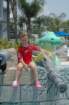 dsc_4982_small.jpg