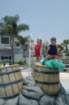 dsc_4992_small.jpg